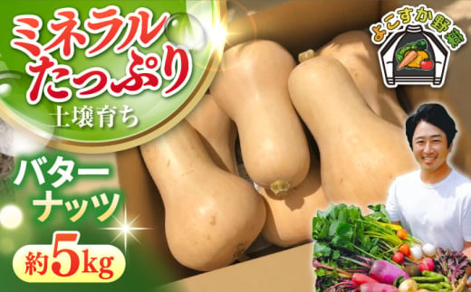 【先行予約】バターナッツ　約5kg（7月～11月） 野菜  やさい 【鈴也ファーム】 [AKCE022]