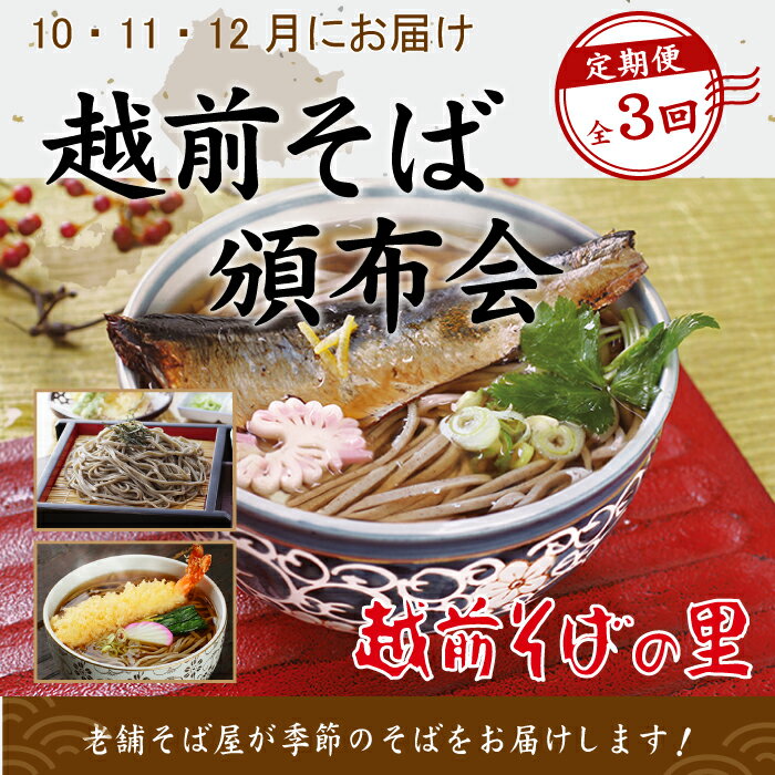 【ふるさと納税】【3回定期便：2025年10月スタート】楽天そばランキング常連 越前そばの里 毎月違う「越前そば」が届く お楽しみ頒布会 送料無料 福井県 越前市 そば 越前そば （18209）