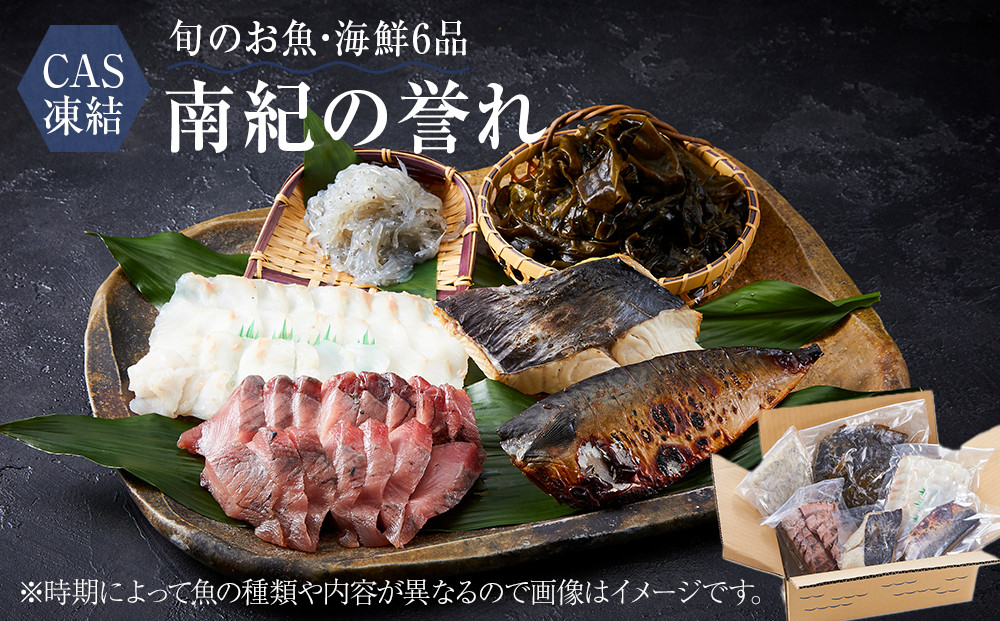 CAS凍結 南紀の誉れ 旬 の 海産物 6品 セット お楽しみ 簡単調理 干物 お造り 塩焼き など