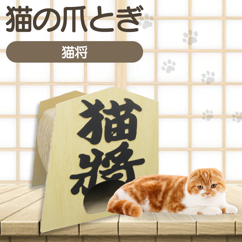 猫の爪とぎ　猫将