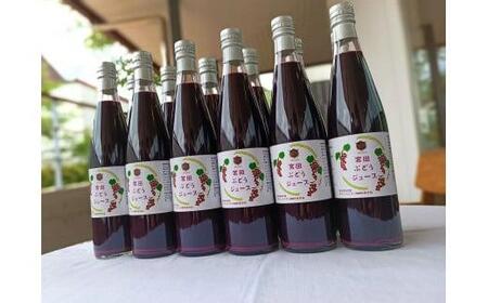 宮田ぶどうジュース 500ml × 12本セット 果汁100％ ぶどう 長野県 宮田村 国産 本坊酒造 