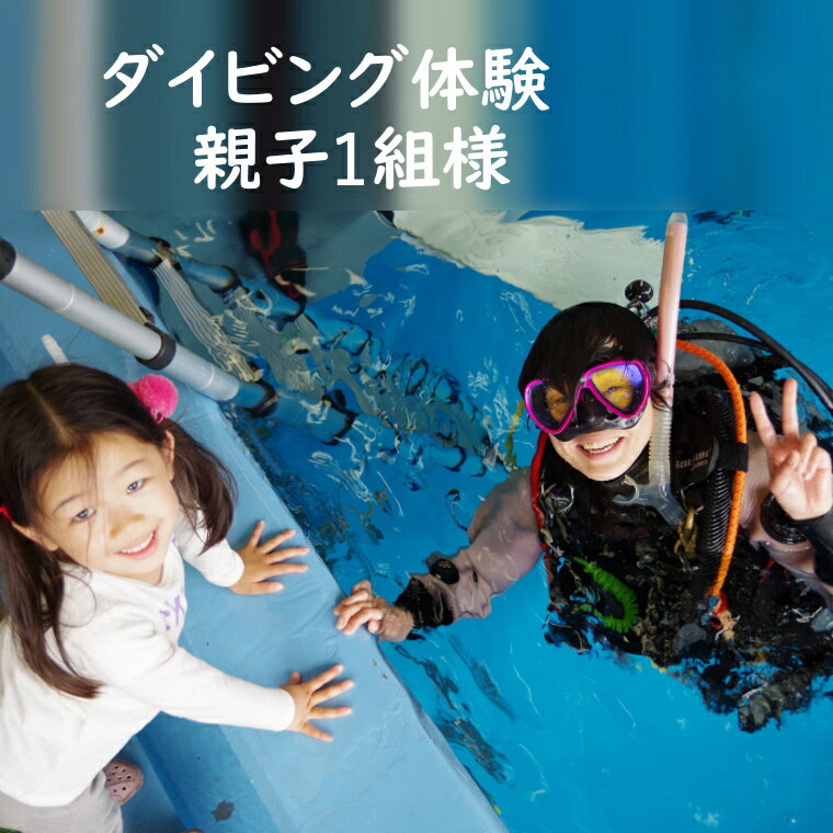 【ふるさと納税】ダイビング体験 3時間 親子でダイビング 専用プール 大人1名子供1名様 年中潜れる