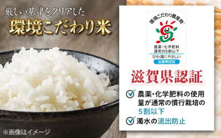 滋賀県産 みずかがみ5kg【特別栽培米】コシヒカリ5kg【環境こだわり米】ミルキークイーン5kg(計15kg）　滋賀県長浜市/株式会社ＴＰＦ[AQCQ003]