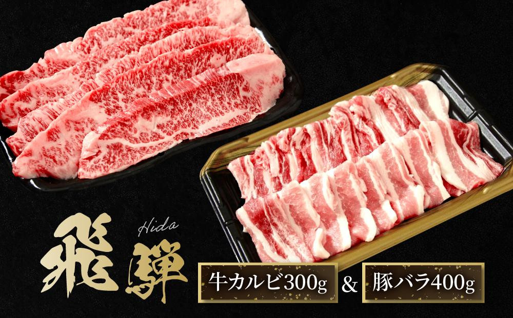 飛騨牛 焼肉 カルビ300g & 飛騨豚 バラ400g ファミリーストアさとう CY044VC13
