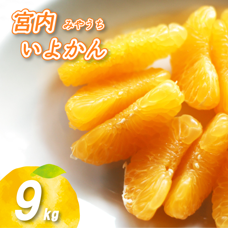 【2027年1月中旬頃から順次発送】 宮内いよかん 9kg | いよかん 伊予柑 みかん 数量限定 みかん 愛媛県産 みかん いよかん 伊予柑 松山市 みかん 中島 みかん いよかん 伊予柑 みかん 蜜柑 いよかん 伊予柑 イヨカン みかん いよかん 伊予柑 寄付額 10000円 愛媛県 松山市