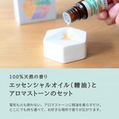 ふるさと納税 瑞浪市 みずなみブレンド精油2種&アロマストーンセット 古代ジャングル×おかえり 瑞浪ファクトリー直送 |  | 01