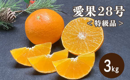 【2026年12月上旬頃から順次発送】特級品 愛果28号 (紅まどんな と同品種) 3kg | 紅まどんな と同様 みかん 愛媛県 松山市【TMN0111】