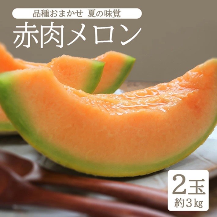 
                  庄内砂丘 『品種おまかせ赤肉メロン』　約3kg(2玉入)  SA2977
                