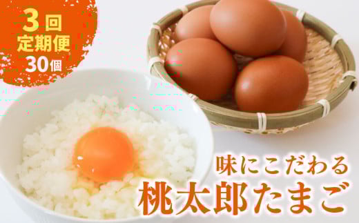 【3回定期便】タマゴ好きにはたまらない  桃太郎たまご 15個入り×2セット | 定期便 毎月 たまご 卵 鶏卵 たまごかけごはん たまごかけ TKG ブランド おいしい 高級 人気 おすすめ 高知県 南国市