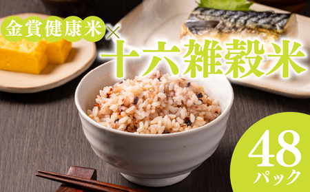 【 ご飯パック 】 金賞 健康米 十六雑穀米 120g×48個入り ご飯パック