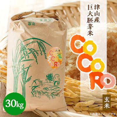 ふるさと納税 津山市 【突鉱土育ち】巨大胚芽米CoCoRo 30kg
