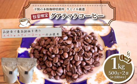 【深煎り】 訳あり コーヒー粉 1kg ( 500g × 2袋 ) 数量限定 ハンドドリップ グアテマラ 珈琲 下関 山口