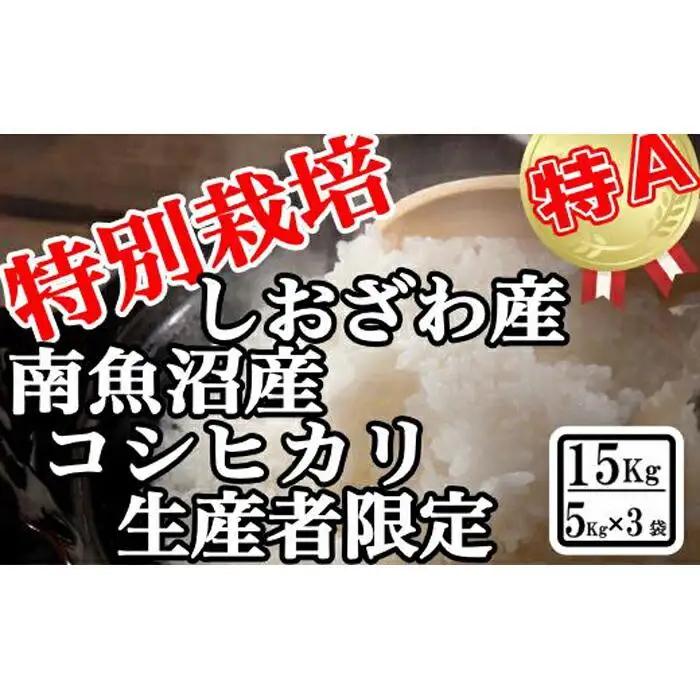 【令和7年産】特別栽培 生産者限定 南魚沼しおざわ産コシヒカリ15Kg【銘柄米 ブランド米 精米 こしひかり コシヒカリ 魚沼産 新潟米 産地直送 お米 米 こめ コメ ご飯 御飯 ごはん】