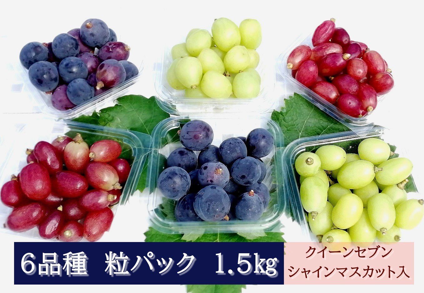 
            【2026年発送分先行予約】6品種の粒パックセット 1.5kg　クイーンセブン・シャインマスカット入り　250gパック×6個　8月下旬発送　【配送不可：離島】【※お届け日指定不可】
          