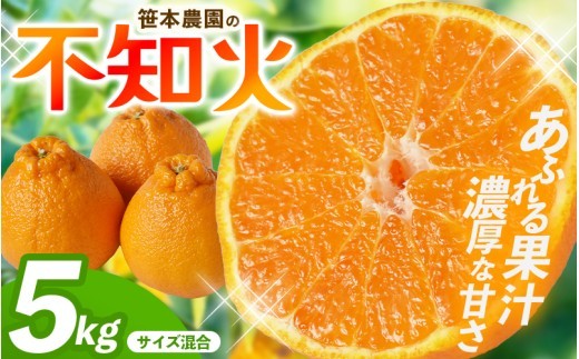 
                  【数量限定】不知火 笹本農園の不知火 約5kg サイズ混合 【2027年3月上旬頃〜順次発送】 不知火デコポン みかん ミカン 蜜柑 不知火 しらぬい 柑橘 フルーツ 果物 くだもの 甘い 旬 人気 果汁 濃厚 ジューシー デザート 産地直送 農家直送 みかん 不知火 国産 お取り寄せ 新鮮 期間限定 季節限定 先行予約 おすすめ 三重県 熊野市 笹本農園【ssmt0001】
                