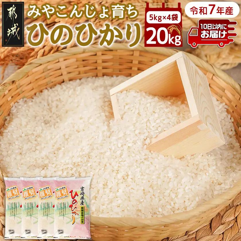 みやこんじょ育ち都城産ひのひかり20kg≪みやこんじょ特急便≫〔55-K701-Q〕_(都城市) 都城産 ひのひかり 20kg 5kg×4袋 田園 霧島裂罅水 土づくり こだわり 都城米 甘み 旨味 