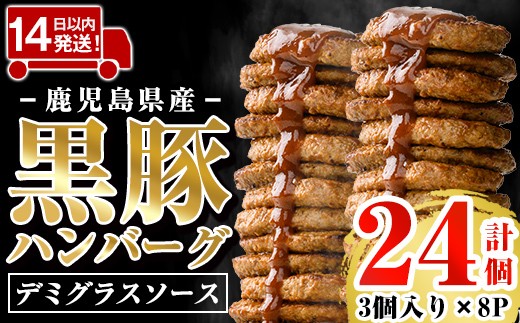 
                  a1003 鹿児島県産黒豚ハンバーグ 計24個 (210g(3個入)×8P) 【AKR Food Company】姶良市 ハンバーグ デミグラスソース デミソース 国産 鹿児島県産 肉 豚 豚肉 かごしま黒豚さつま お弁当 惣菜 総菜 冷凍ハンバーグ おかず 温めるだけ 湯煎 簡単 冷凍 小分け
                