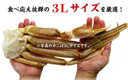 【12月26日～31日着(指定日不可)】年内お届け先行予約受付中！【生食OK】カット生ずわい蟹（高級品/黒箱）内容量2kg/総重量2.6kg　【敦賀市ふるさと納税】[024-c011]