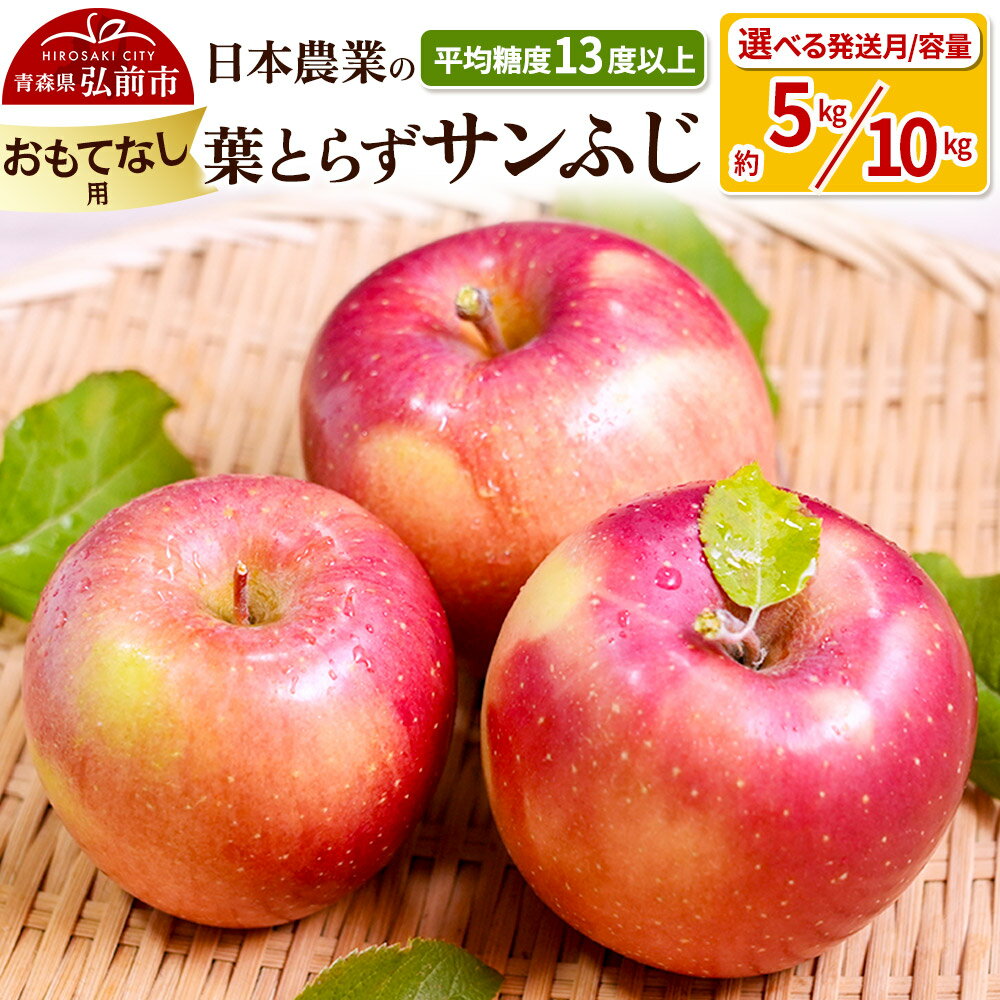 【ふるさと納税】 りんご 【先行受付】平均糖度13度以上！ 葉とらずサンふじ 約5kg／約10kg おもてなし用【選べる容量＆発送月】青森 果物 フルーツ 林檎 リンゴ くだもの 予約