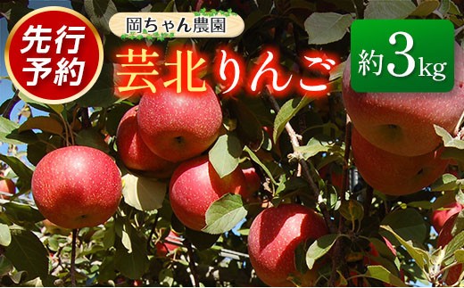 
                  りんご 国産 3kg 農家直送 岡ちゃん農園 芸北りんご 林檎 夢つがる 秋映 とき すわっこ シナノスイート 陽光 ぐんま名月 シナノゴールド ふじ_OK066_001
                