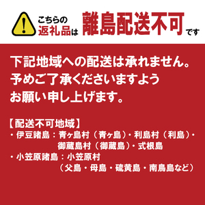 みかん職人が作った柑橘アイス 河内晩柑 1000ml×1個 アイスクリーム 晩柑 みかん 人気 デザート スイーツ ジェラート シャーベット みかん職人武田屋 愛媛県 愛南町 