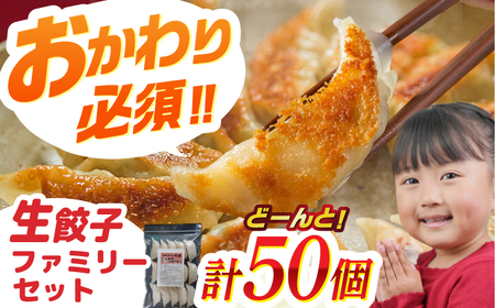 餃子 「新助」の餃子 ファミリーセット(50個入り) [ANHL001] 餃子