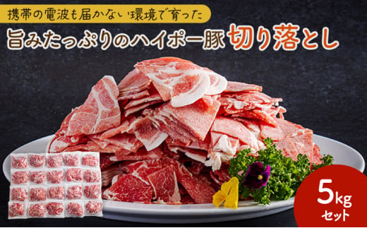 [№5681-0145]豚肉 山口県産 豚 切り落とし 5kgセット | 携帯の電波も届かない環境で育った旨みたっぷりのハイポー豚 豚 肉 お肉 ※配送不可:離島