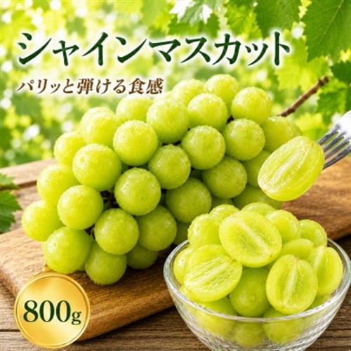 シャインマスカット　800g(宇城市)【配送不可地域：離島】【1738557】