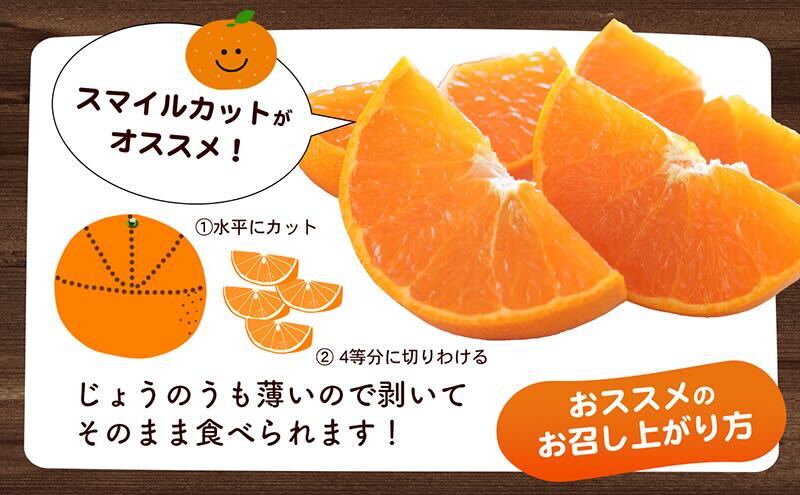 【数量限定 今季最終受付】愛媛県産せとか（ハウス）約2.7kg[50R0846] 【高島屋選定品】L～３Lサイズ 1月下旬頃～順次発送＜旬 化粧箱 ギフト 高級 甘い みかん    フルーツ＞[No.