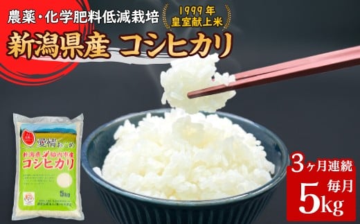 16-K53【3ヶ月連続お届け】新潟県胎内市産コシヒカリ5kg