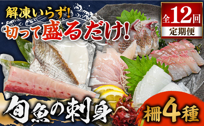 
【全12回定期便】 獲れたて 旬魚 の柵 4種 セット（ 刺身 3種＆ イカ 1種）（5～6人前） 【平戸市/舘浦漁業協同組合】 [KAA523]
