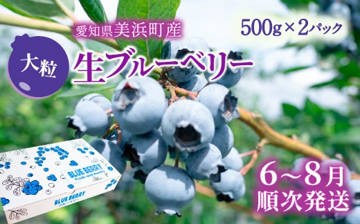 
                  大粒ブルーベリー品種ミックス 500g×2パック 果物 くだもの フルーツ ヨーグルト ジャム 国産 愛知県産 ※2026年6月上旬～8月上旬頃に順次発送予定 ※北海道・沖縄・離島への配送不可
                