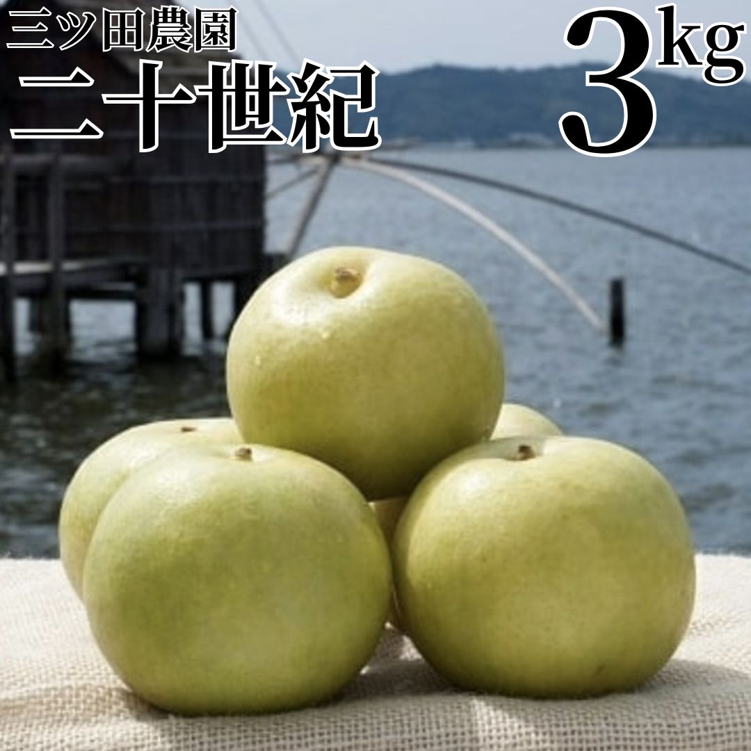 【ふるさと納税】梨 二十世紀 3kg 三ツ田農園 | 二十世紀梨 鳥取県 湯梨浜町 果物 フルーツ 特産品