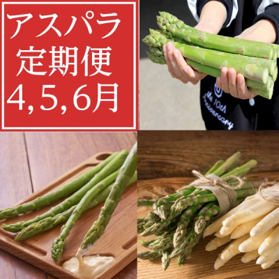 
            2026年度分　＜発送月固定定期便＞4月・5月・6月北海道富良野産　アスパラ定期便全3回_アスパラ 定期便 野菜 アスパラガス グリーン ホワイト 北海道 富良野産 全3回 やさい 生 ギフト 国産 産直 送料無料【4056330】
          