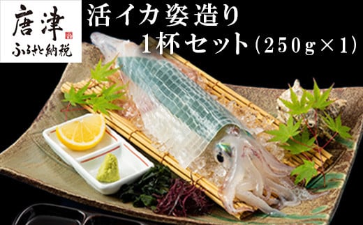 
活イカ姿造り中サイズ 1杯(250g前後)！鮮度抜群 捌きたて瞬間冷凍 いか活造り 刺身 簡単 呼子 ギフト
