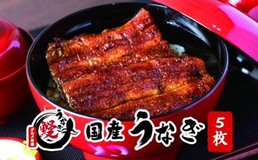 
国産うなぎ蒲焼 大サイズ５枚(合計約750g)薬味付【すさみグルメ市場】
