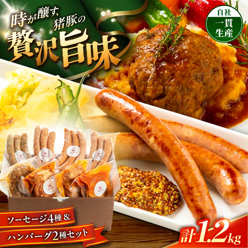 【ふるさと納税】 『命豚 ソーセージ 4種＆ 命豚 ハンバーグ 2種セット』 豚肉 お取り寄せ 国産 ギフト 冷凍 沖縄市 / DELICATESSEN NUCHIBUTA [BCAR002] 詰め合わせ 手作り