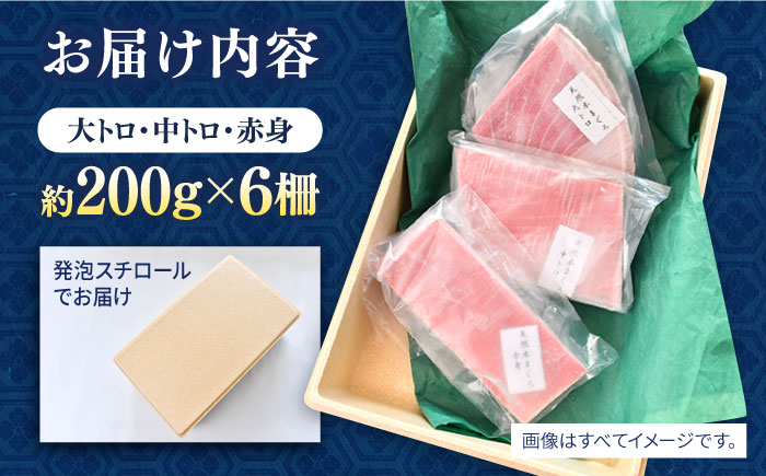 天然 本まぐろ 大トロ・中トロ・赤身（約200ｇ×6柵）1200ｇ 【横須賀商工会議所 おもてなしギフト事務局（本まぐろ直売所）】[AKAK019]