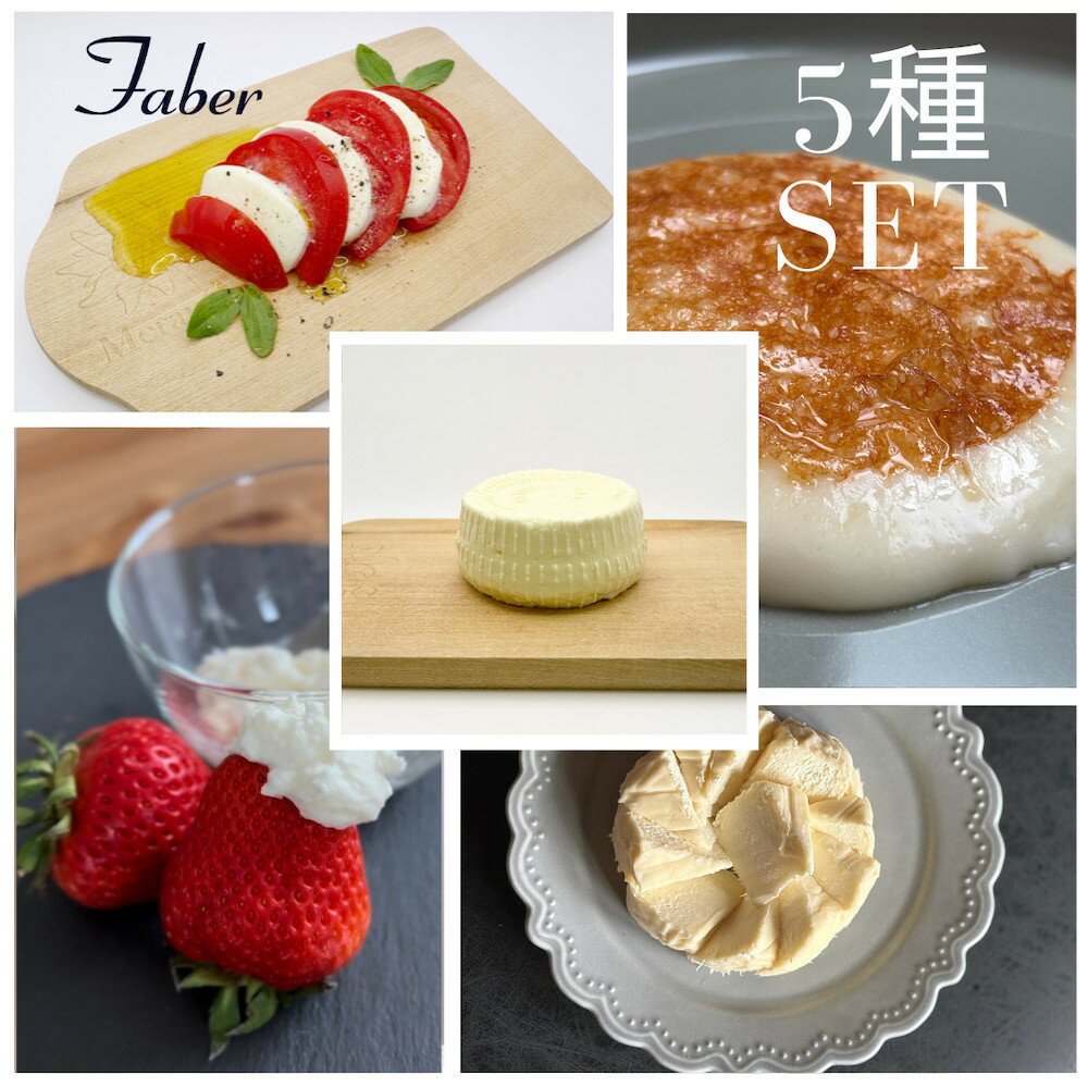 【ふるさと納税】【MOFコンテスト金賞受賞】ファーベル5種のチーズセット | 豊田市 チーズ 手作り モッツアレラ 人気 おすすめ 送料無料