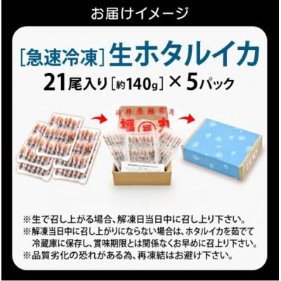 ふるさと納税 越前町 【毎月定期便】ホタルイカ(刺身・しゃぶしゃぶ用)　21尾入 × 5パック 合計約700g全6回 |  | 03