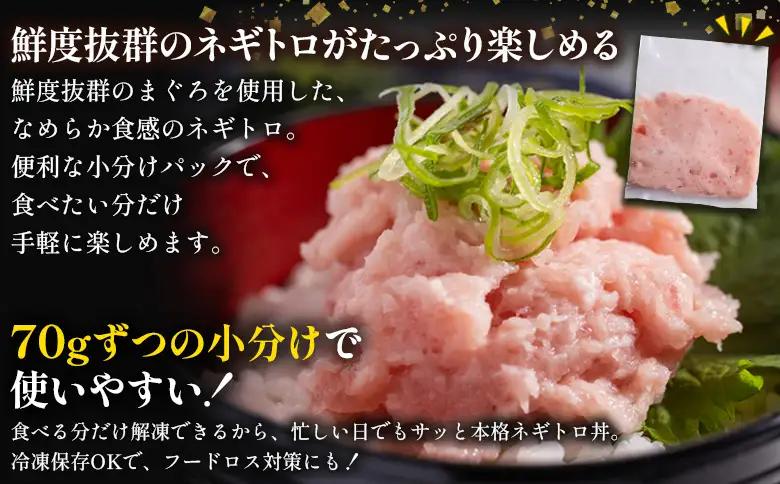 【ねぎとろ】 大熊 ねぎとろ 【各700g×12回定期便】 Wda-0022