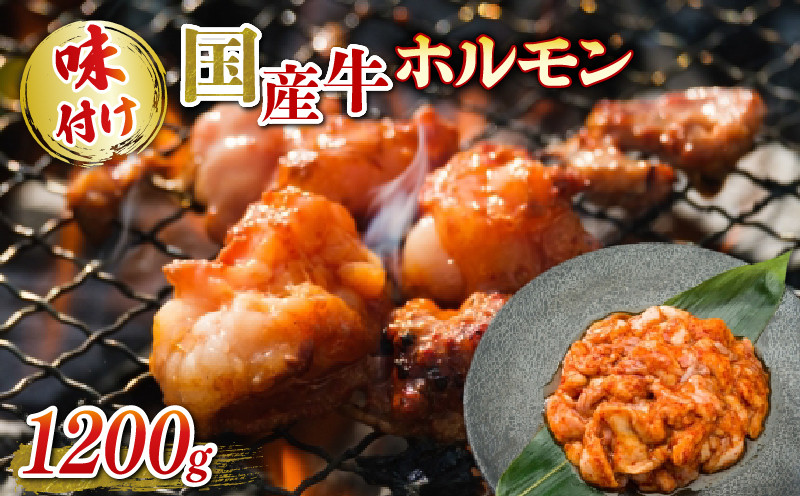 
国産牛 ホルモン ホソ 味付け 1200g いづつ屋 ( 焼肉 BBQ 国産 牛肉 ホソ 牛 肉 特製 タレ漬け ホルモン焼き もつ 冷凍 送料無料 京都 )
