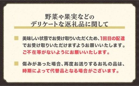 先行予約 シャインマスカット 秀品 約700g (1~2房程度) 令和8年産 sb-busmx700