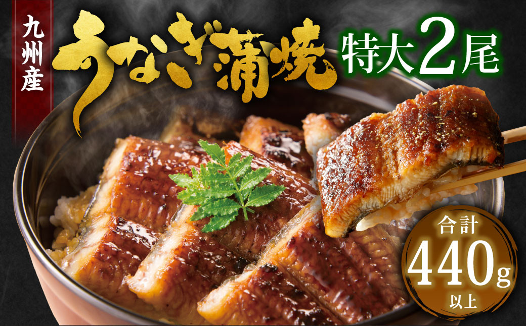 【丑の日／配達日指定可能】九州産 うなぎ 蒲焼 特大 2尾 計440g以上 (1尾あたり220～235g)