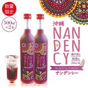 【ふるさと納税】【数量限定】沖縄ナンデンシー（500ml×2本） | お酒 さけ 食品 人気 おすすめ 送料無料