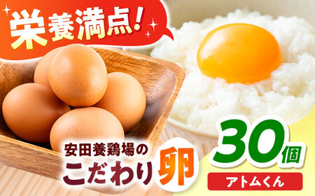 安田養鶏場の卵 アトムくん 30個入り 横須賀市 産地直送 たまご 黄身 濃厚 卵 玉子 タマゴ 鶏卵  【安田養鶏場】[AKHN002]