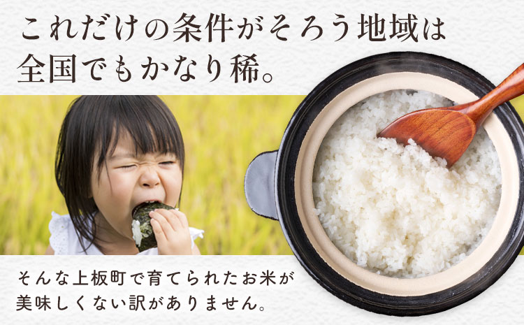 もちもち美味しい！ 上板町ふるさと米 精米 10kg 《10月中旬-11月末頃出荷》徳島県 上板町 お米 米 白米