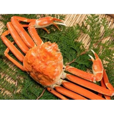 ふるさと納税 智頭町 【11月中旬以降順次発送】ボイル松葉ガニ(600g〜700gを1枚)　OM-18