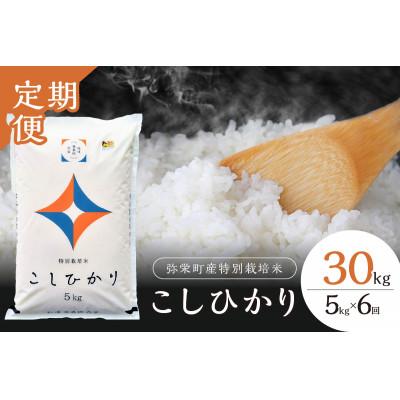 ふるさと納税 浜田市 【毎月定期便】弥栄町産特別栽培米「秘境奥島根弥栄」こしひかり5kg全6回