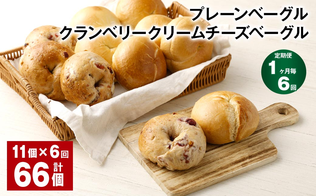 【1ヶ月毎6回定期】 プレーンベーグル・クランベリークリームチーズベーグル 11個✕6回 合計66個  ベーグル パン セット